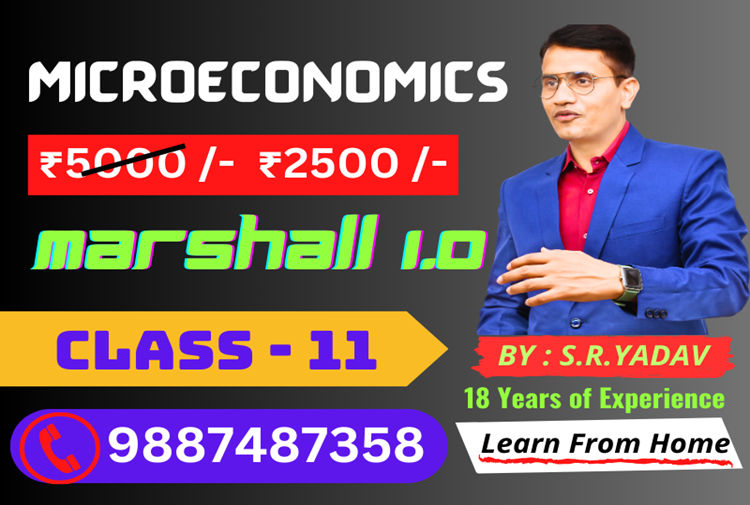  microeconomics class xi